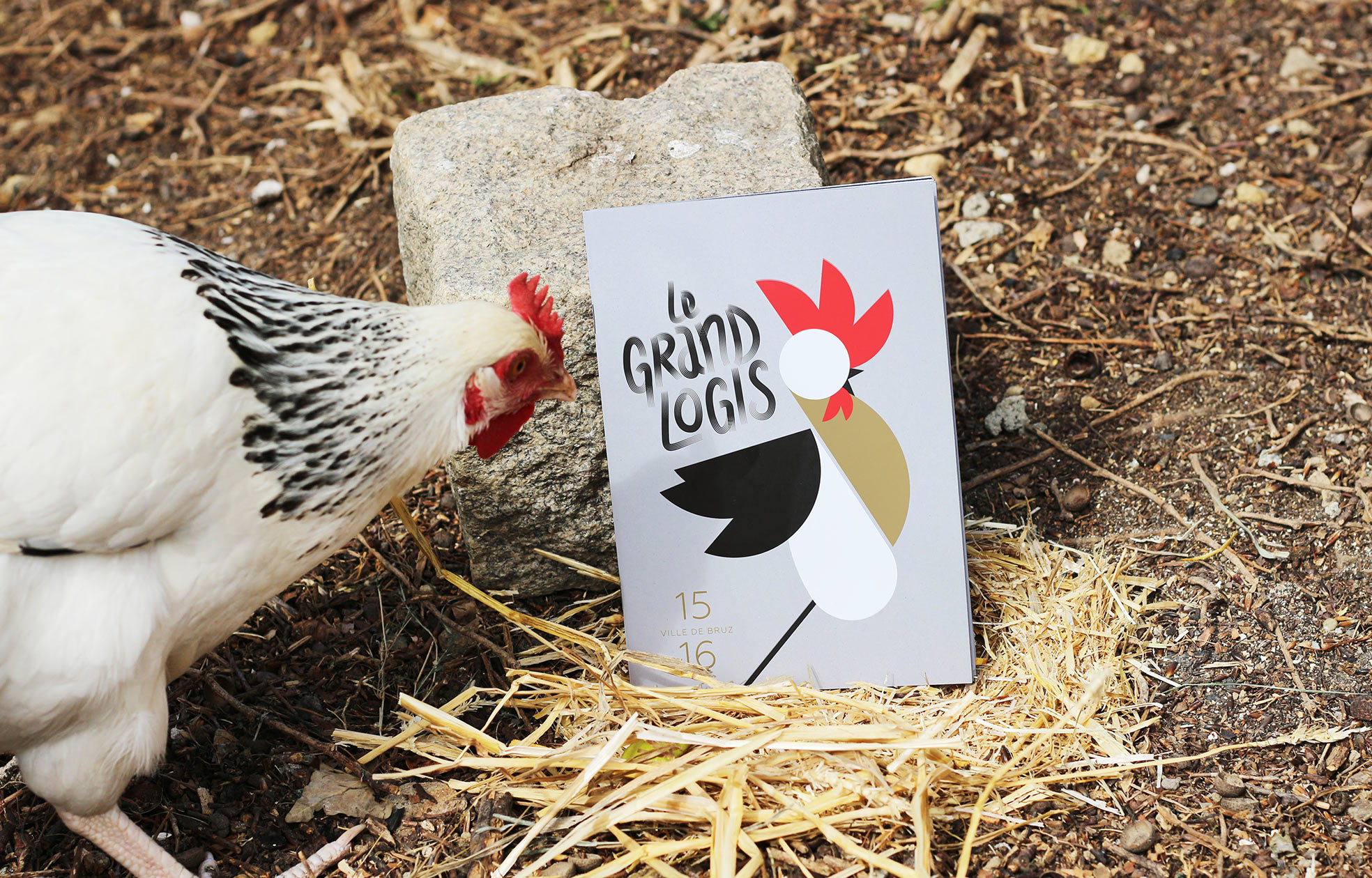 Communication graphisme Le Grand Logis 2014 / 2015