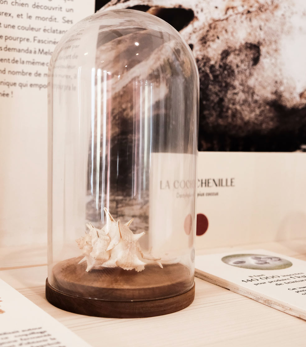 Exposition plantes vendee