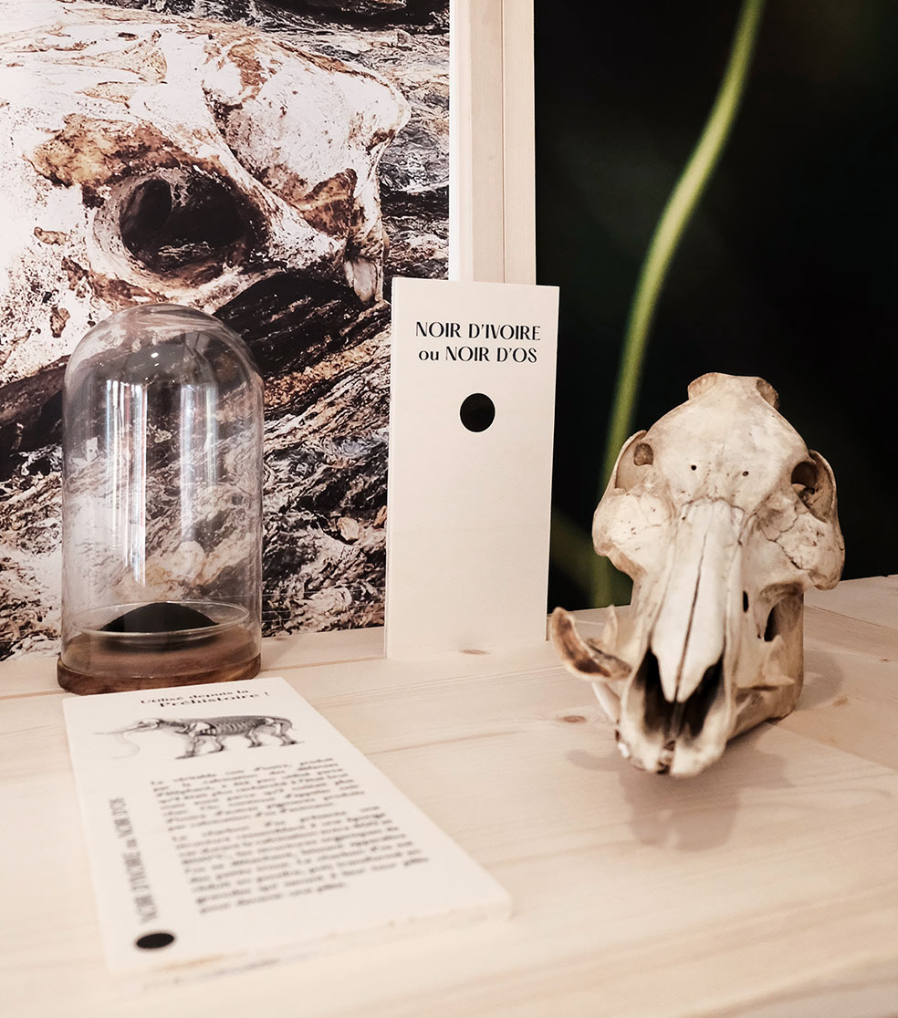 Exposition plantes vendee