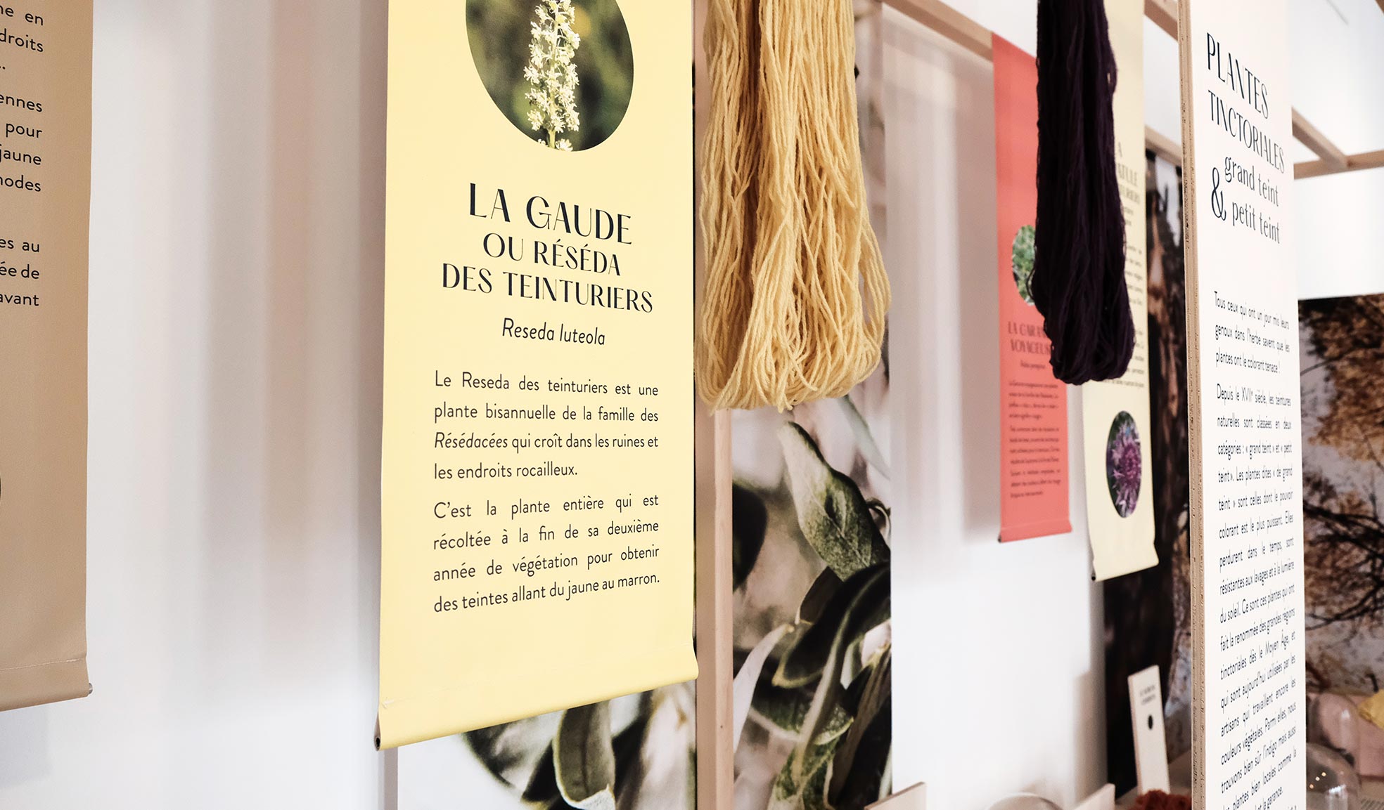 Exposition plantes vendee