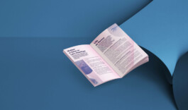 atelier shiroi graphisme identité visuelle communication illustration Nantes