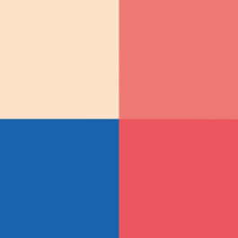 atelier shiroi graphisme identité visuelle communication illustration Nantes