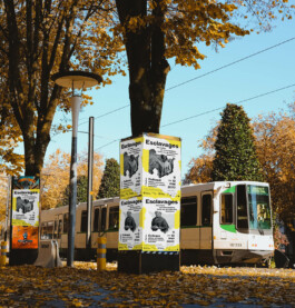 atelier shiroi graphisme identité visuelle communication illustration Nantes