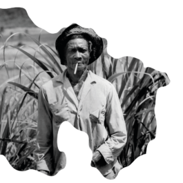 atelier shiroi graphisme identité visuelle communication illustration Nantes