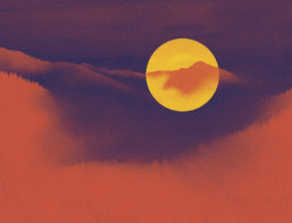 atelier shiroi graphisme identité visuelle communication illustration Nantes