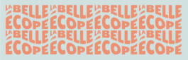 composition typographie la belle ecope