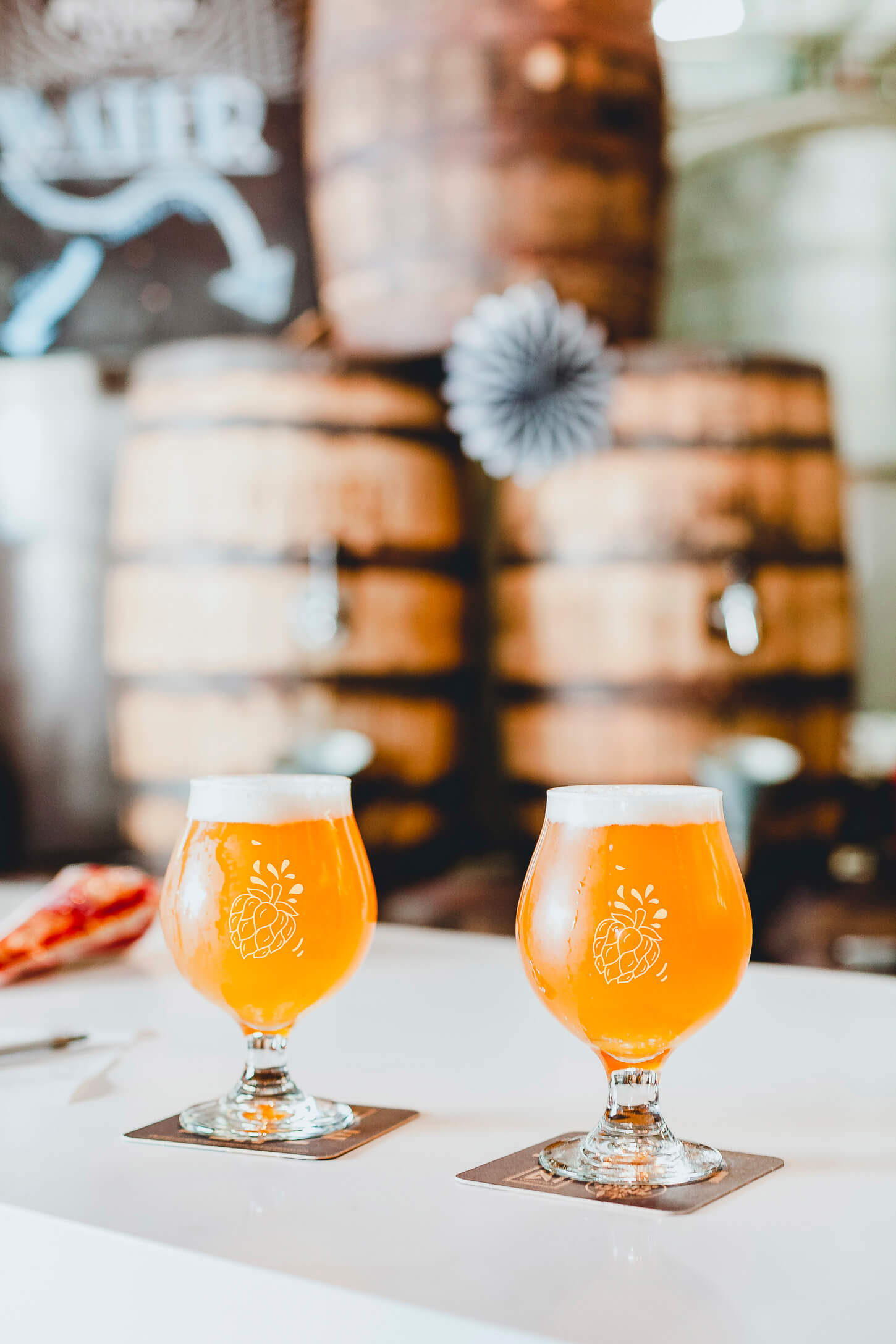 photographie des verres la belle ecope