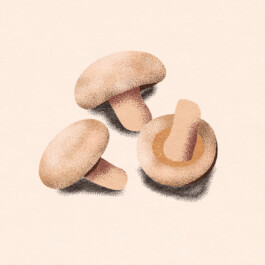 atelier shiroi graphisme identité visuelle communication illustration Nantes