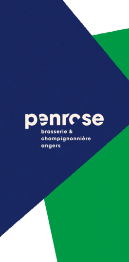 atelier shiroi graphisme identité visuelle communication illustration Nantes