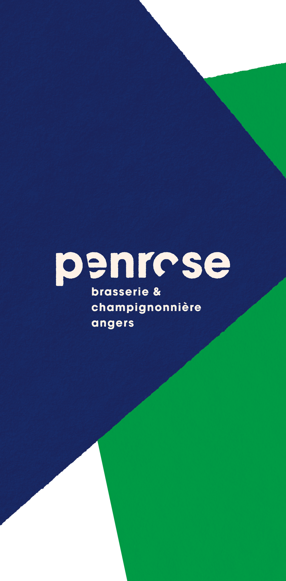 atelier shiroi graphisme identité visuelle communication illustration Nantes