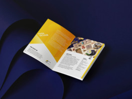 atelier shiroi graphisme identité visuelle communication illustration Nantes