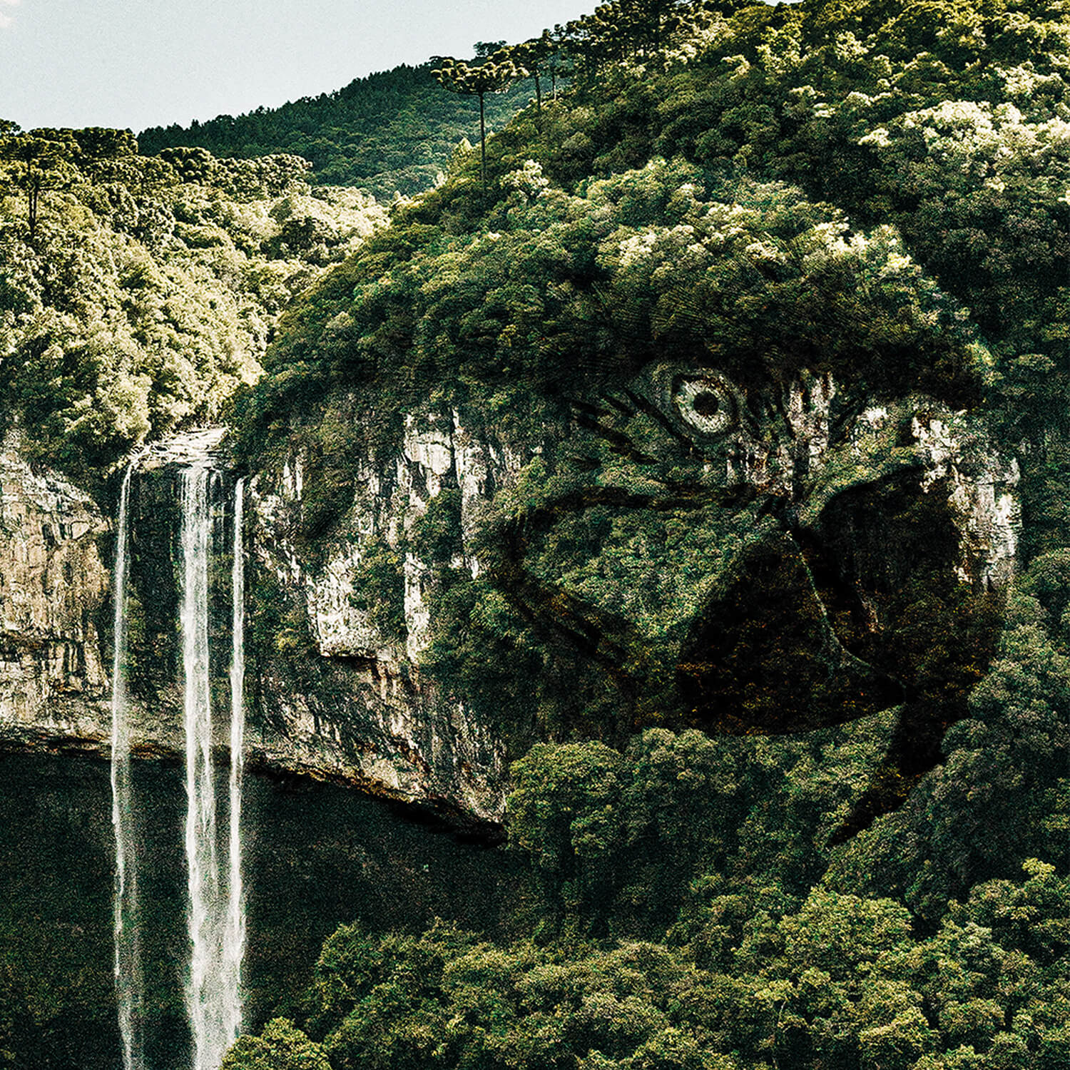 Visuel exposition AMAZONIE atelier shiroi graphisme identité visuelle communication illustration Nantes