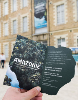  atelier shiroi graphisme identité visuelle communication illustration Nantes