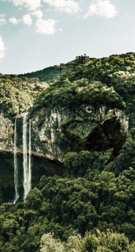  atelier shiroi graphisme identité visuelle communication illustration Nantes