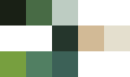  atelier shiroi graphisme identité visuelle communication illustration Nantes