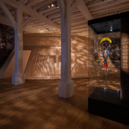 scénographie exposition amazonie atelier shiroi graphisme identité visuelle communication illustration Nantes