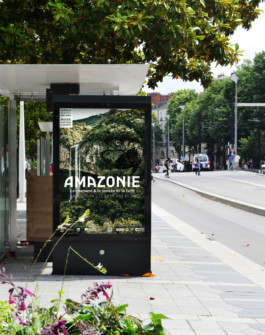 Affiche exposition amazonie chateau nantes atelier shiroi graphisme identité visuelle communication illustration Nantes