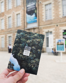  atelier shiroi graphisme identité visuelle communication illustration Nantes