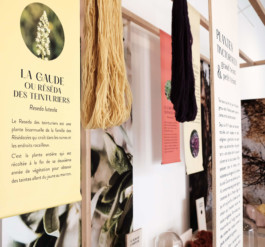 atelier shiroi graphisme identité visuelle communication illustration Nantes