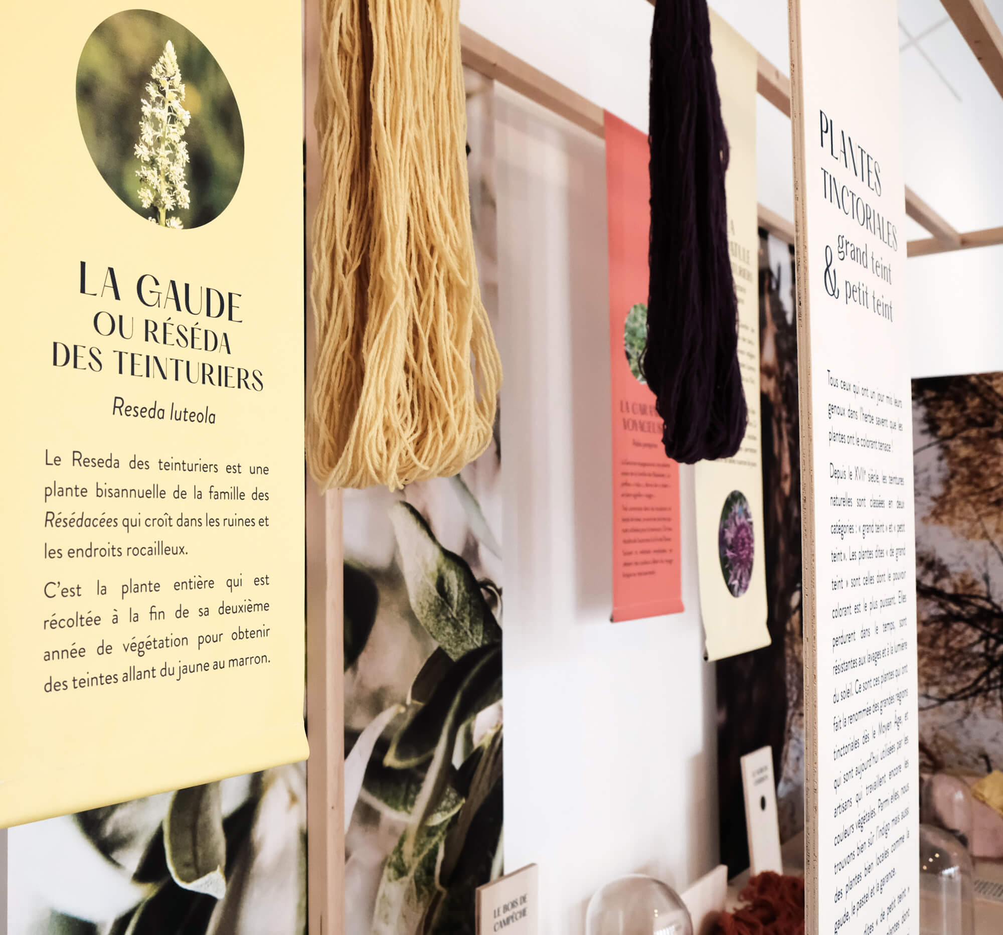 atelier shiroi graphisme identité visuelle communication illustration Nantes