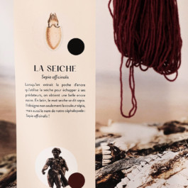 atelier shiroi graphisme identité visuelle communication illustration Nantes