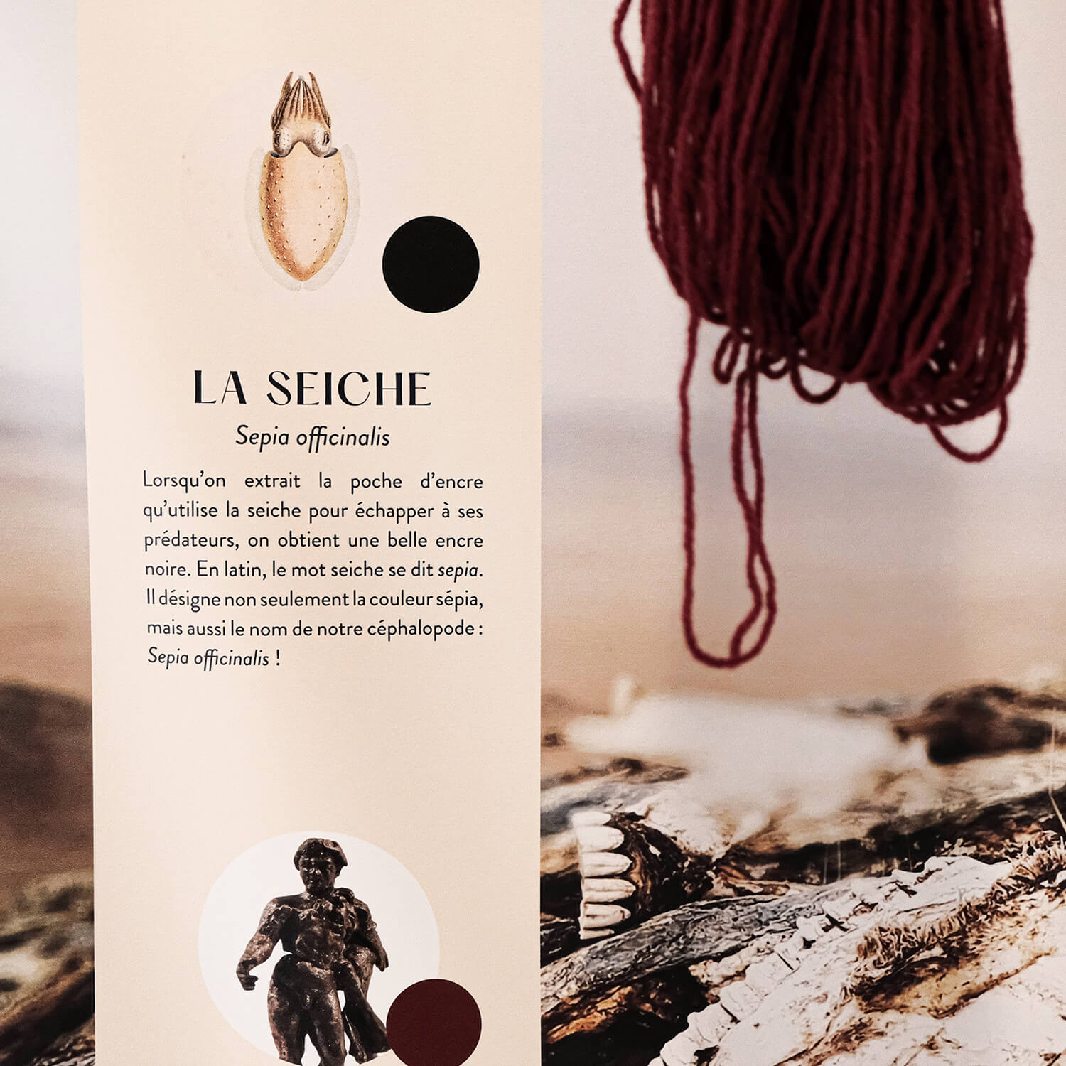 atelier shiroi graphisme identité visuelle communication illustration Nantes