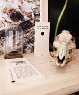 atelier shiroi graphisme identité visuelle communication illustration Nantes