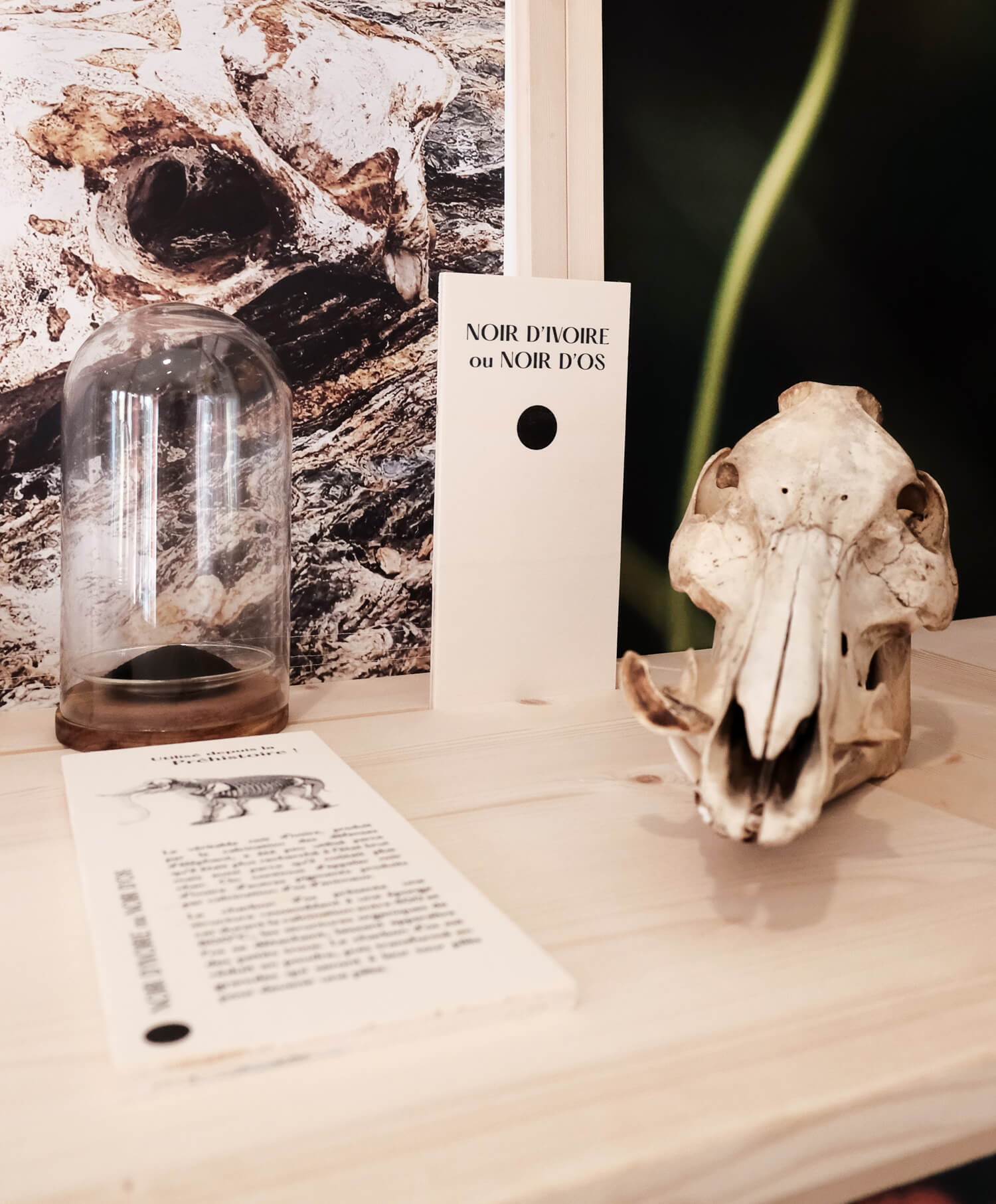 atelier shiroi graphisme identité visuelle communication illustration Nantes