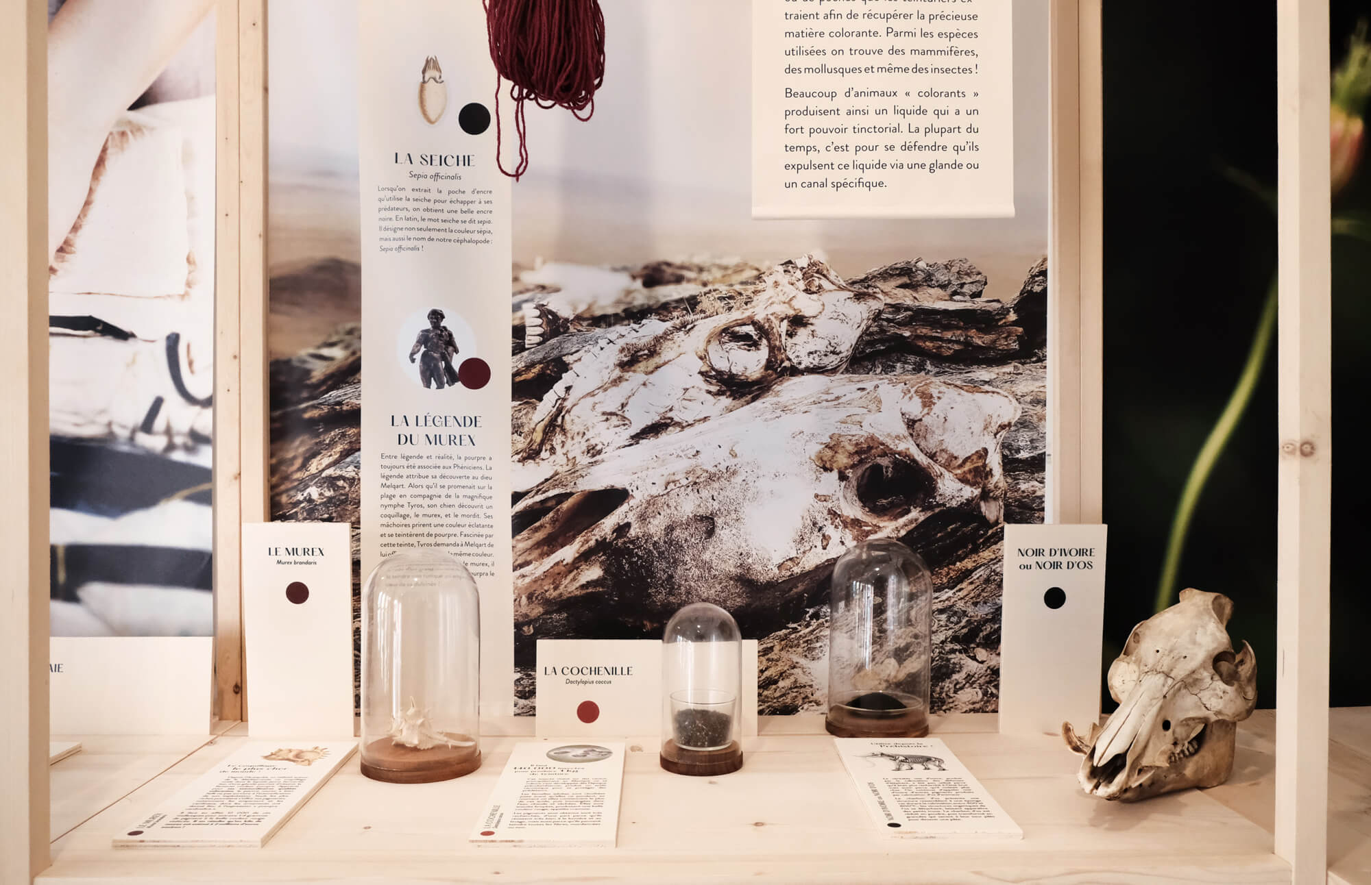 atelier shiroi graphisme identité visuelle communication illustration Nantes