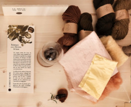 atelier shiroi graphisme identité visuelle communication illustration Nantes