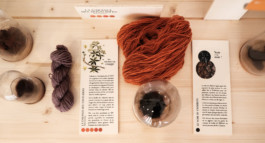 atelier shiroi graphisme identité visuelle communication illustration Nantes