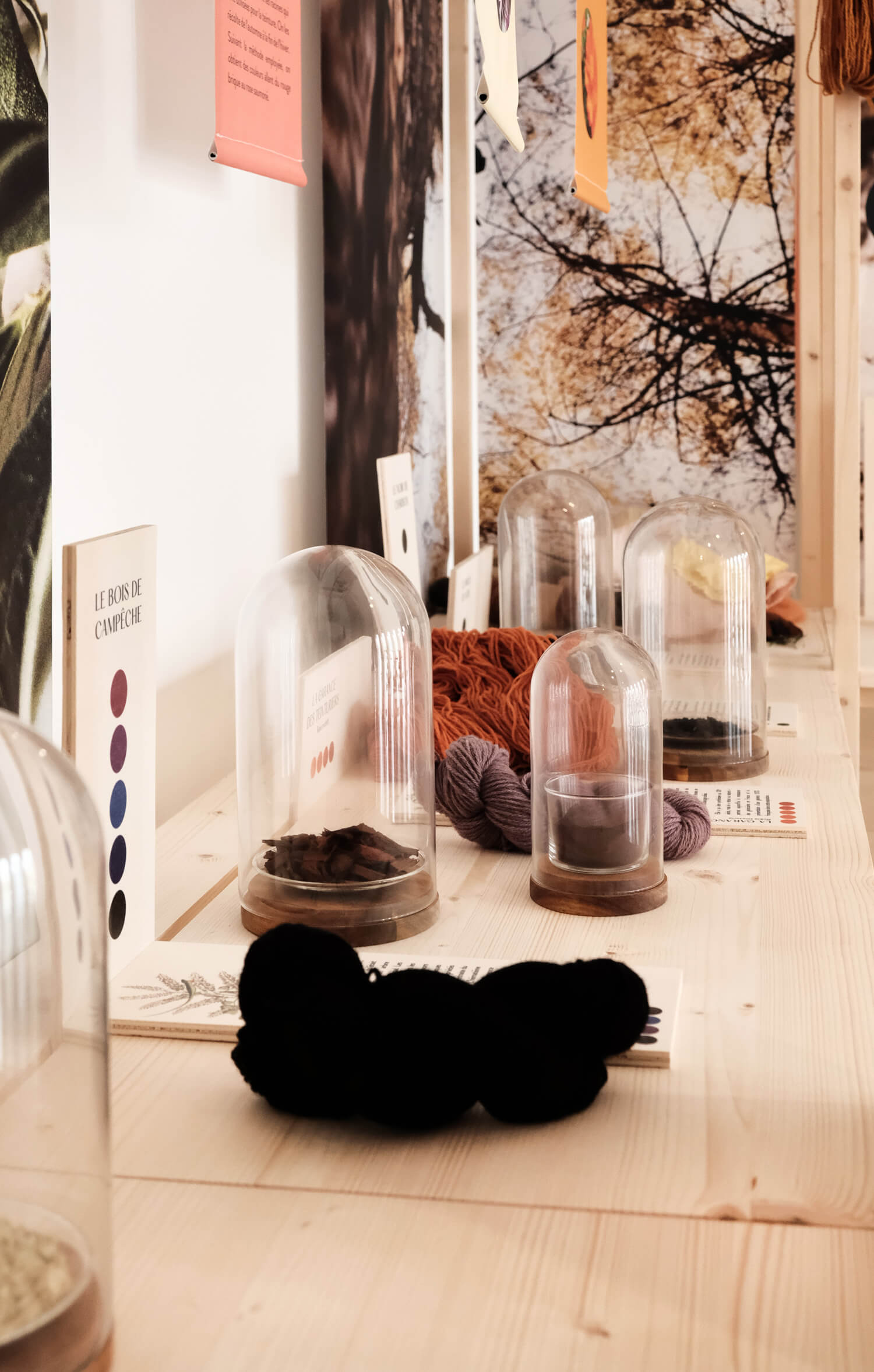 atelier shiroi graphisme identité visuelle communication illustration Nantes