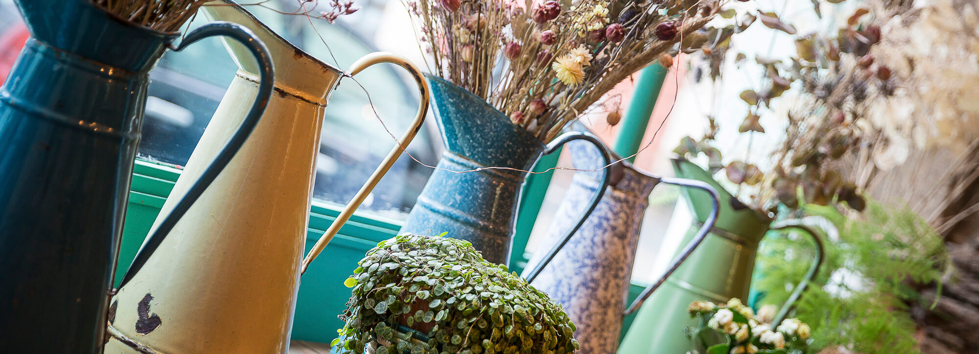 atelier shiroi graphisme identité visuelle communication illustration Nantes