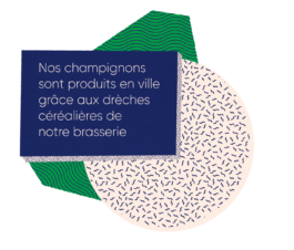 atelier shiroi graphisme identité visuelle communication illustration Nantes