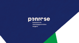 atelier shiroi graphisme identité visuelle communication illustration Nantes