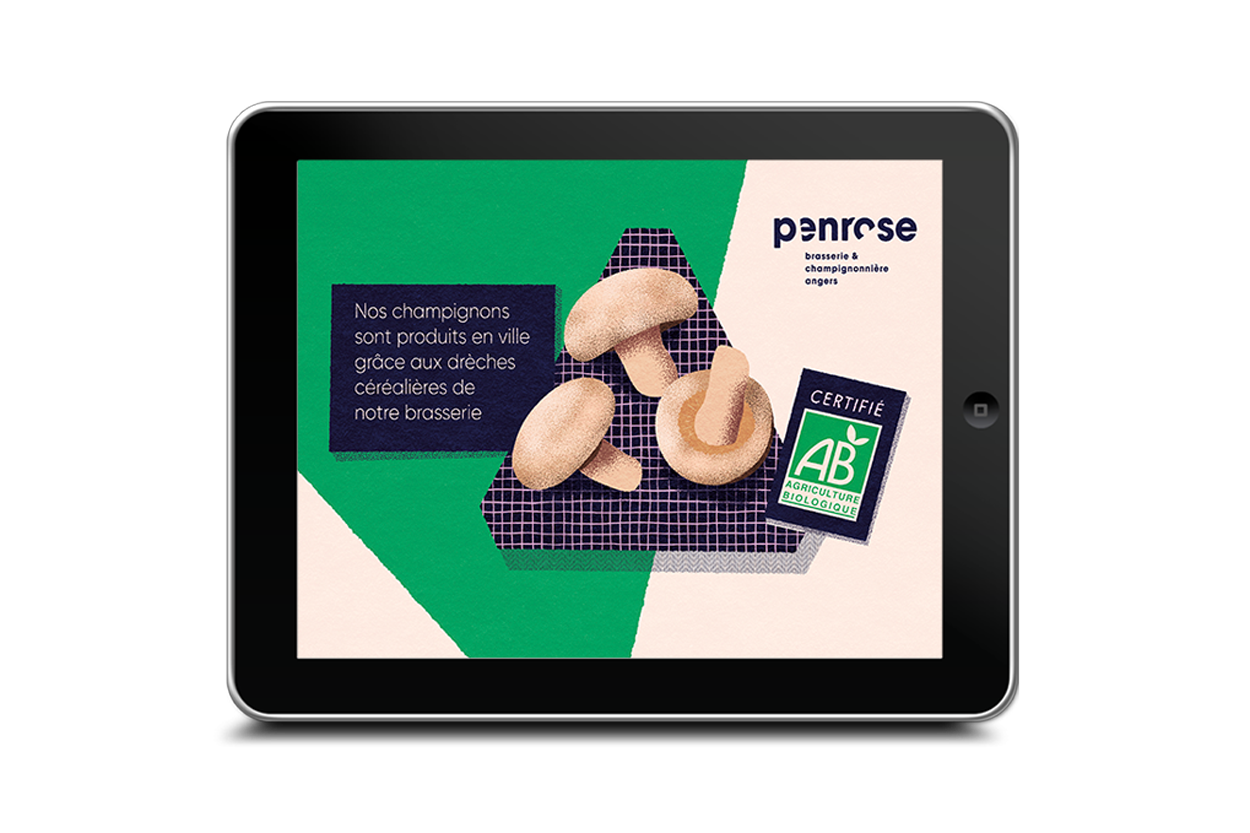 atelier shiroi graphisme identité visuelle communication illustration Nantes