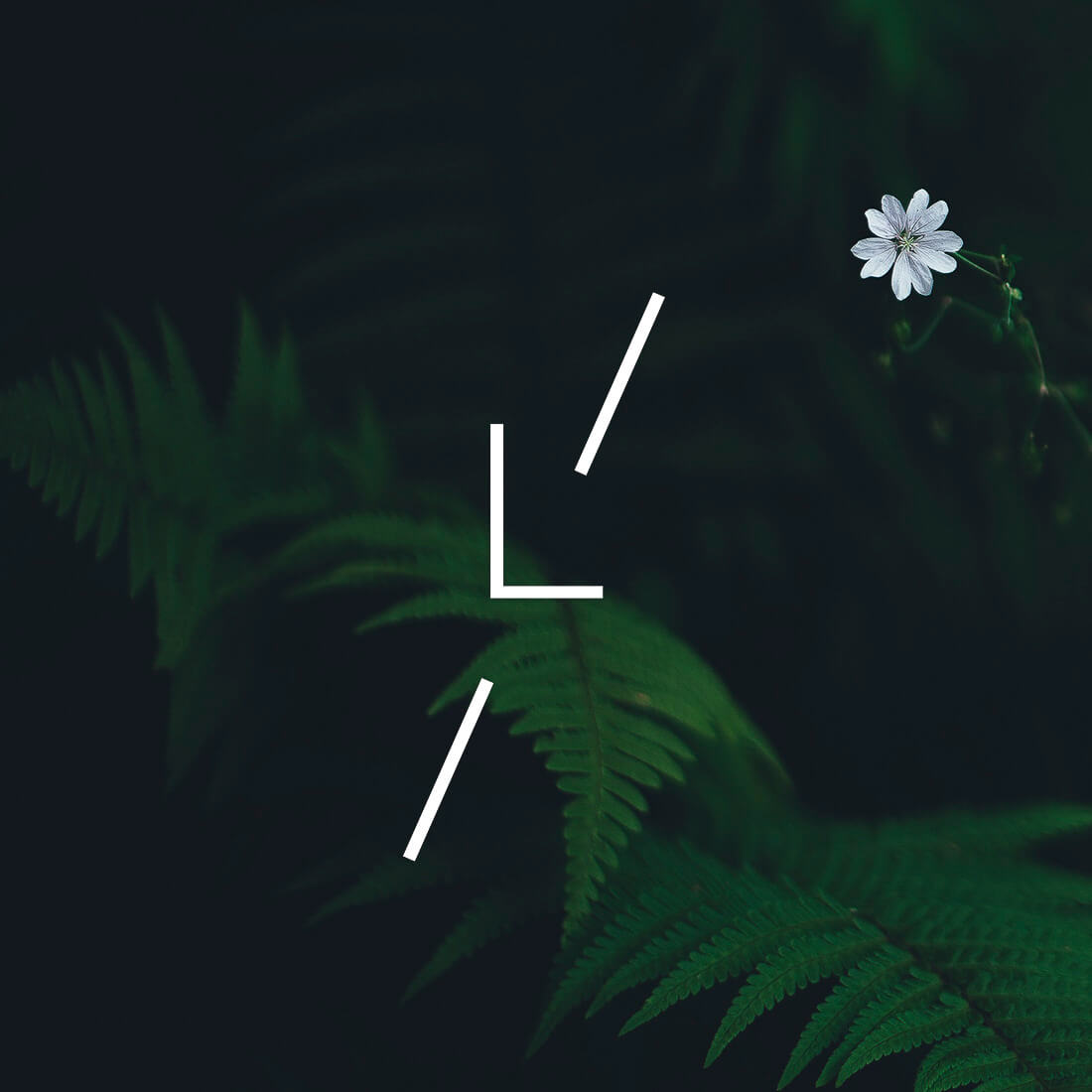 monogramme typographique l'inatelier