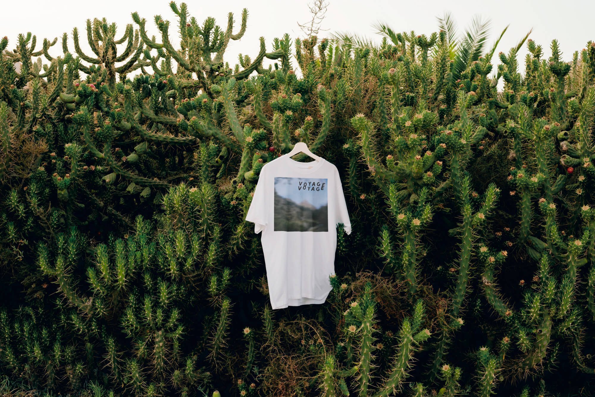 atelier shiroi graphisme identité visuelle communication illustration Nantes