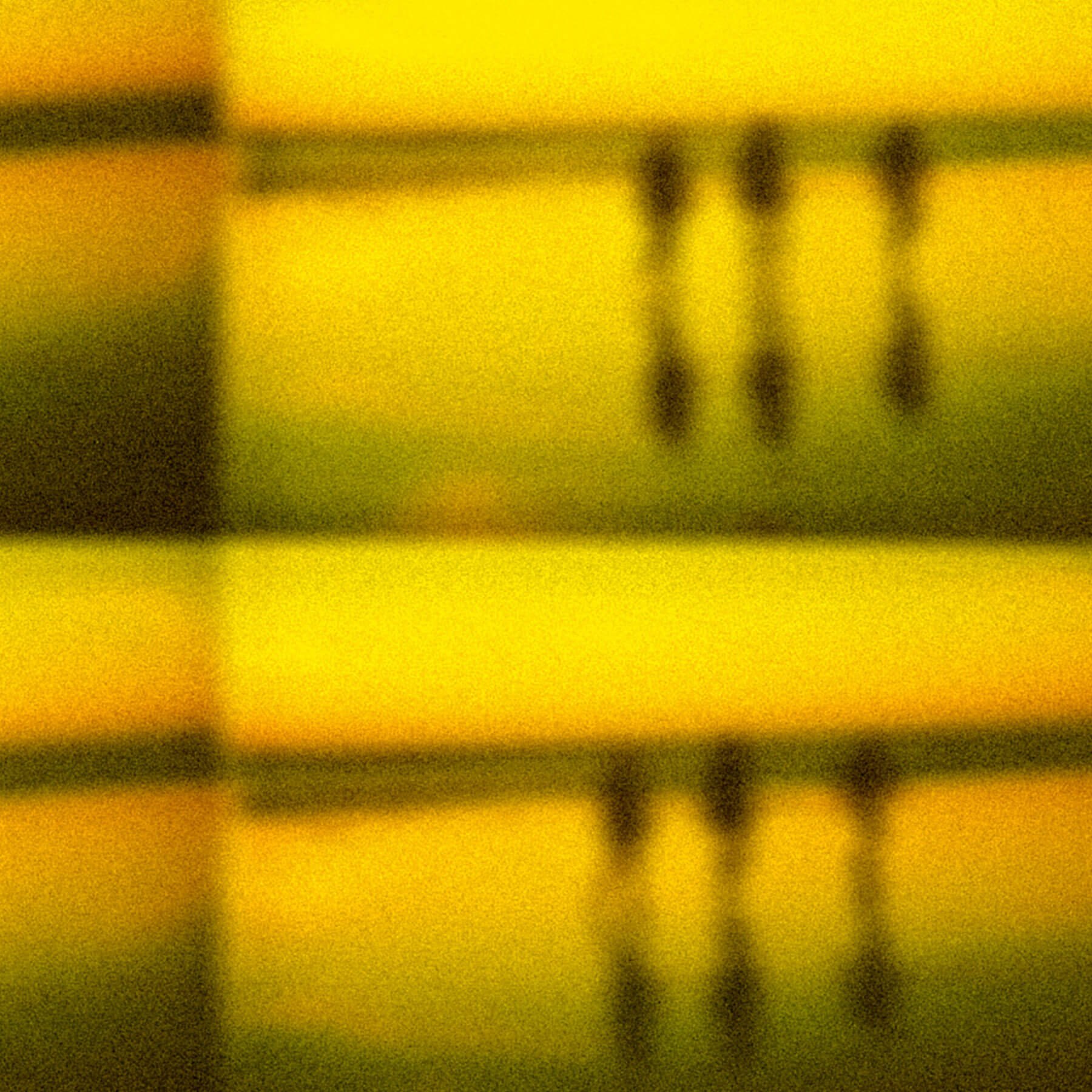 atelier shiroi graphisme identité visuelle communication illustration Nantes