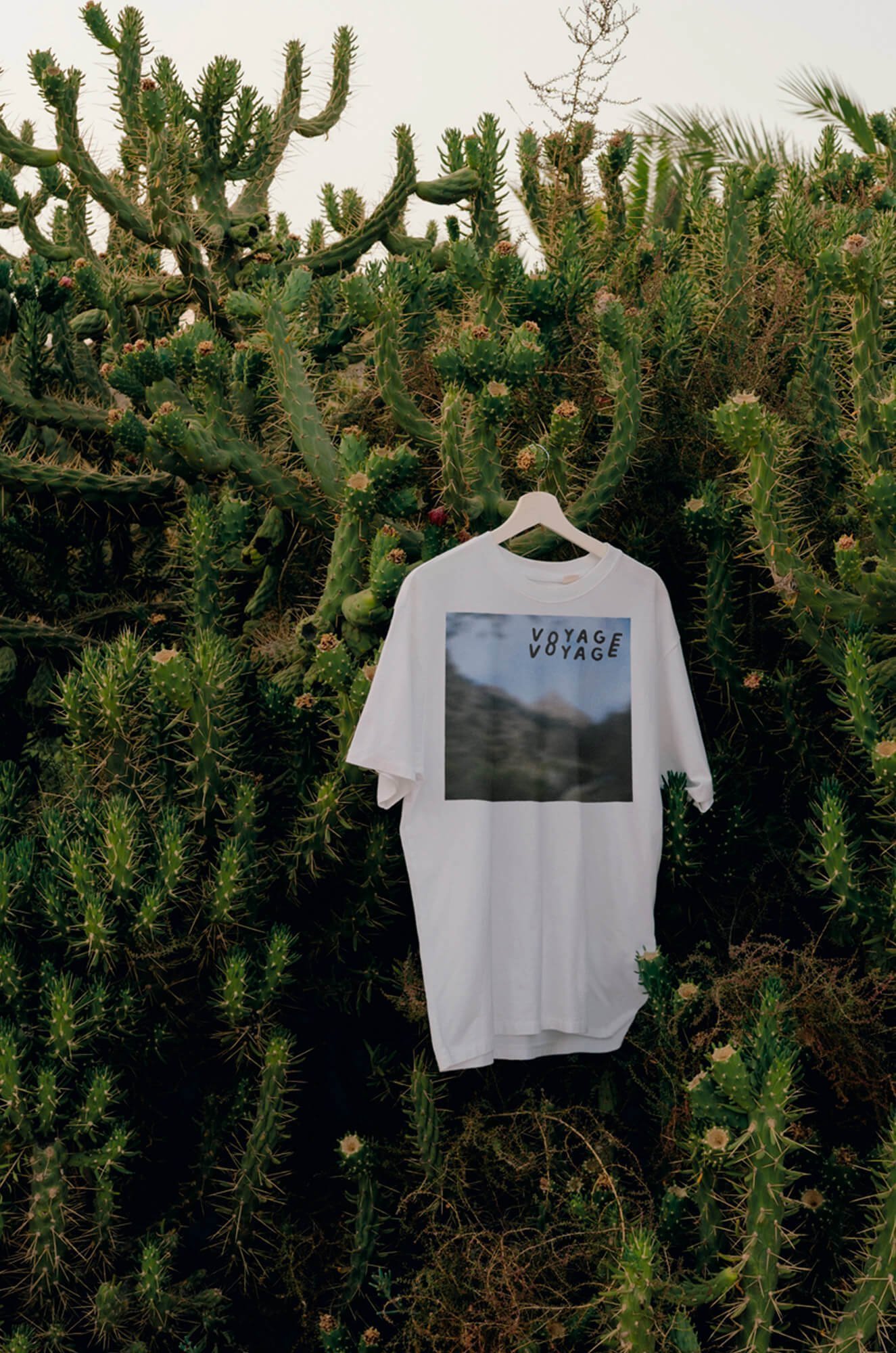 atelier shiroi graphisme identité visuelle communication illustration Nantes