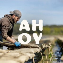  atelier shiroi graphisme identité visuelle communication illustration Nantes