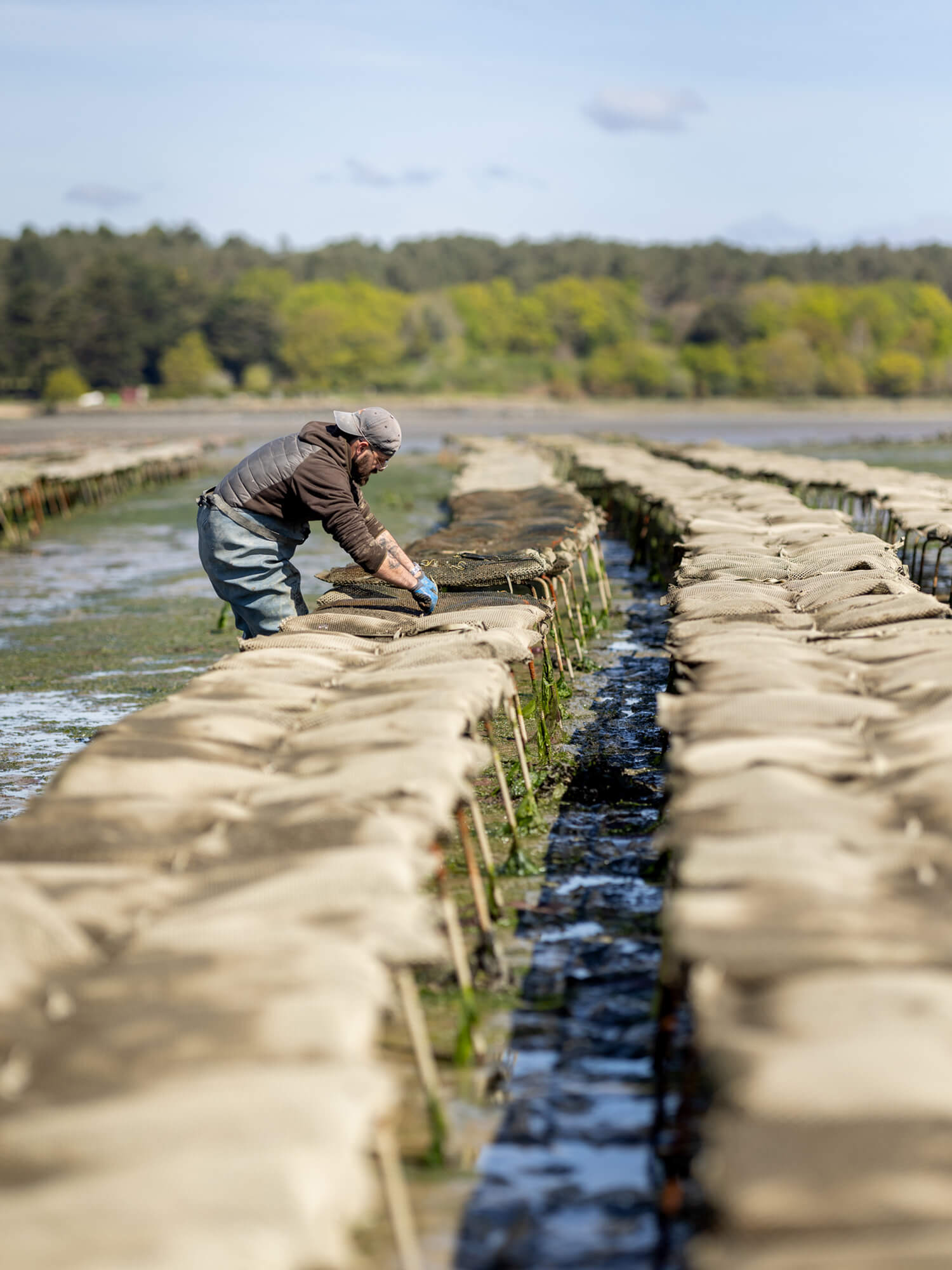 atelier shiroi graphisme identité visuelle communication illustration Nantes