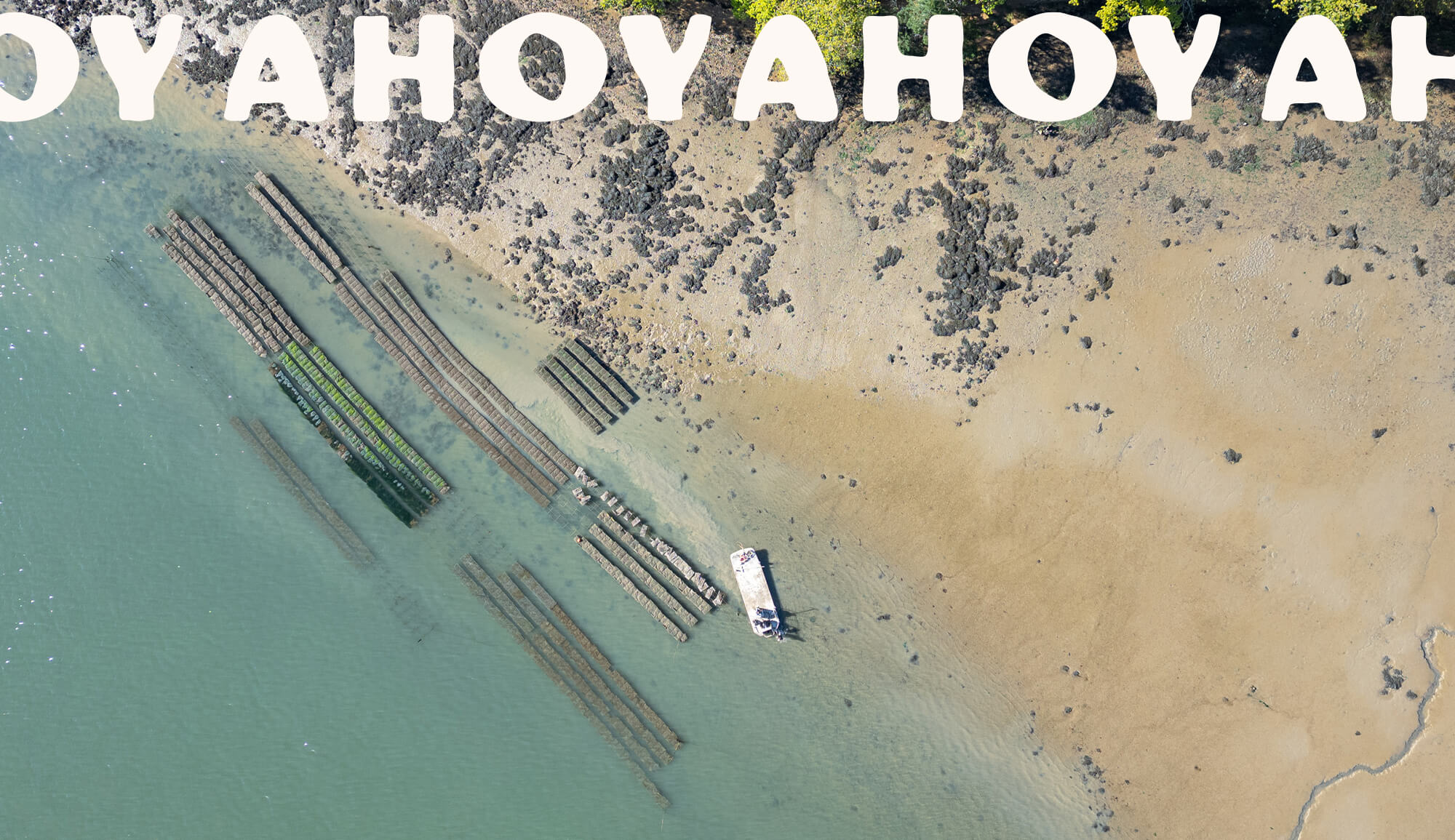 atelier shiroi graphisme identité visuelle communication illustration Nantes