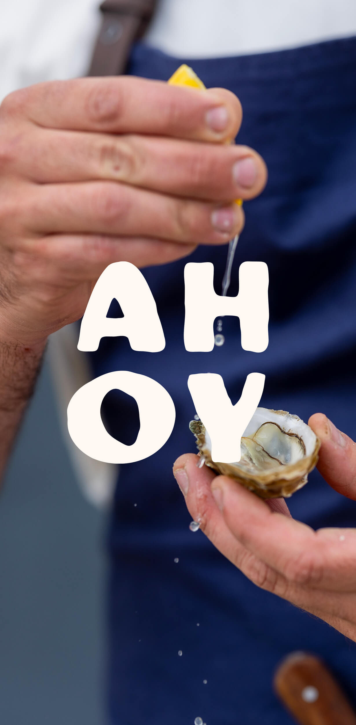 atelier shiroi graphisme identité visuelle communication illustration Nantes