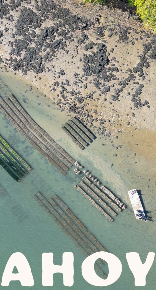 atelier shiroi graphisme identité visuelle communication illustration Nantes