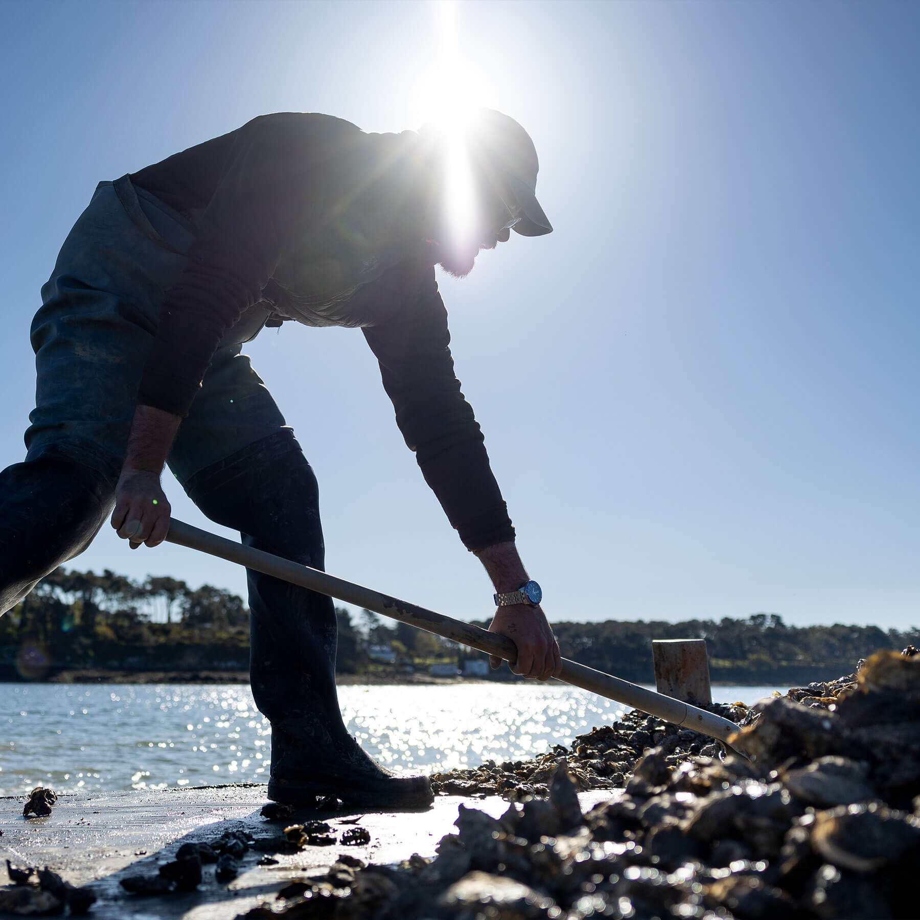 atelier shiroi graphisme identité visuelle communication illustration Nantes