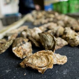 atelier shiroi graphisme identité visuelle communication illustration Nantes