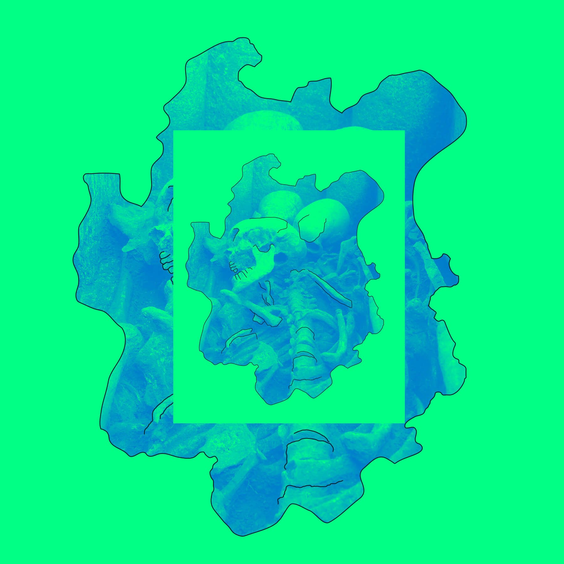 Drac jra communication 12 atelier shiroi graphisme identité visuelle communication illustration Nantes