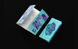 Drac jra communication 13 atelier shiroi graphisme identité visuelle communication illustration Nantes