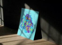 Drac jra communication 5 atelier shiroi graphisme identité visuelle communication illustration Nantes